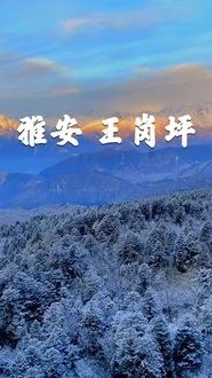 女孩的选美比赛